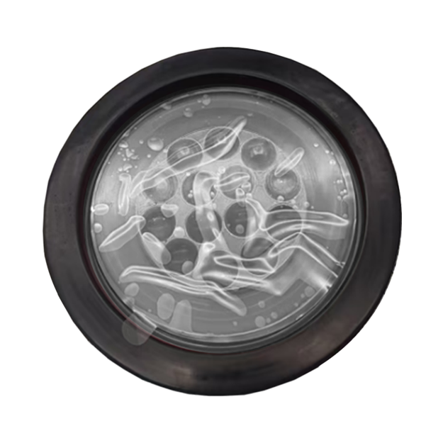 PLAFONES PARA CAMION