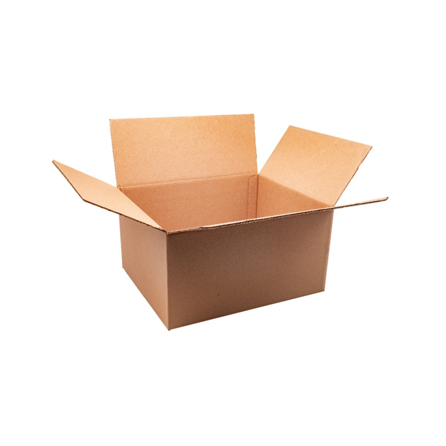 CAJA DE CARTON