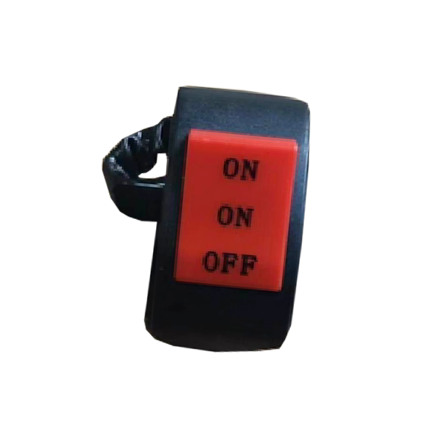 INTERRUPTORES