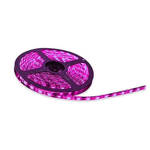 [FOLR5050PK-SAI] TIRA DE LED <0.0>