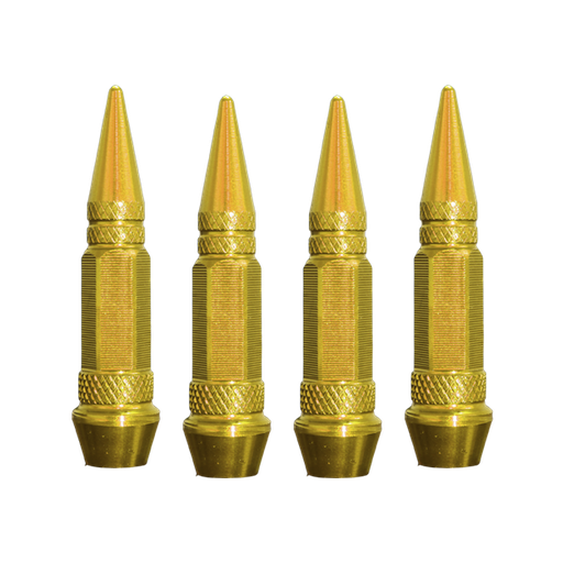 [VAL04GD-SAI] TAPON DE VALVULA <0.0>