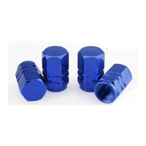 [VAL05BL-SAI] TAPON DE VALVULA <0.0>