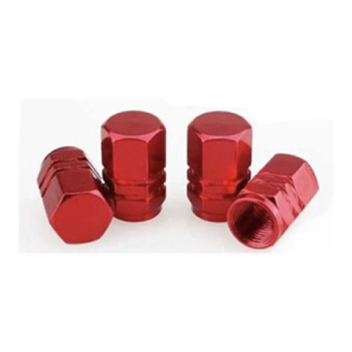 [VAL05R-SAI] TAPON DE VALVULA <0.0>