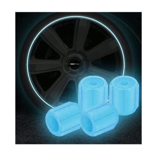 [VAL10BL-SAI] TAPON DE VALVULA <0.0>