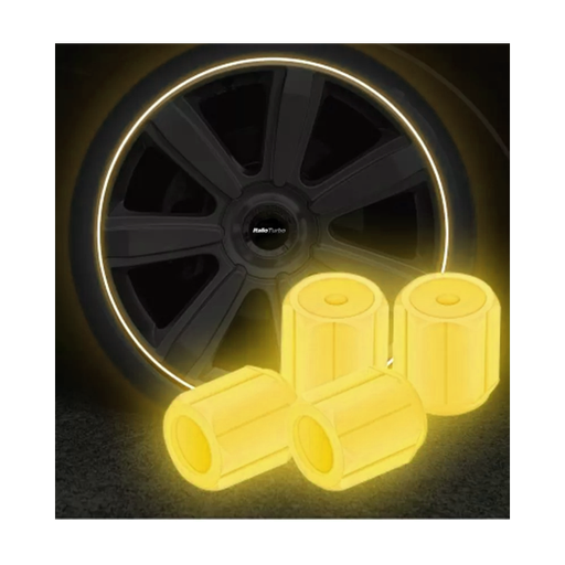 [VAL10Y-SAI] TAPON DE VALVULA <0.0>