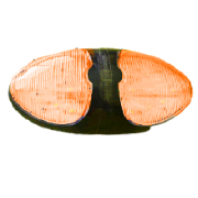 [PLA6749LY-NHY] PLAFONES PARA CAMION <0.0>