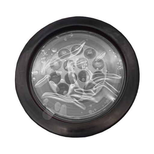 [PLA6781W-RJE] PLAFONES PARA CAMION <0.0>